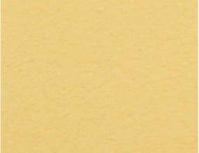 NH204 |TI GOLD VIB & NC